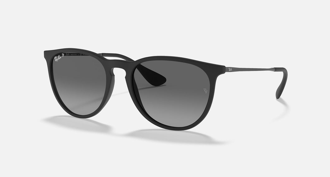 Ray-Ban Erika Black