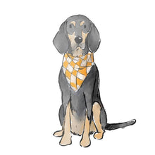 Load image into Gallery viewer, Southern Exposure |Game Day Stickers
