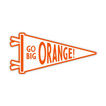 Load image into Gallery viewer, Southern Exposure |Game Day Stickers
