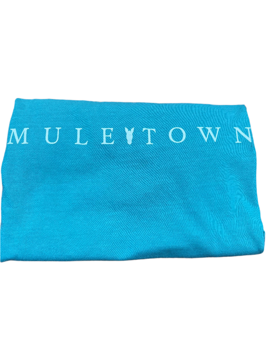 Southern Exposure | MuleTown Tee | Seafoam